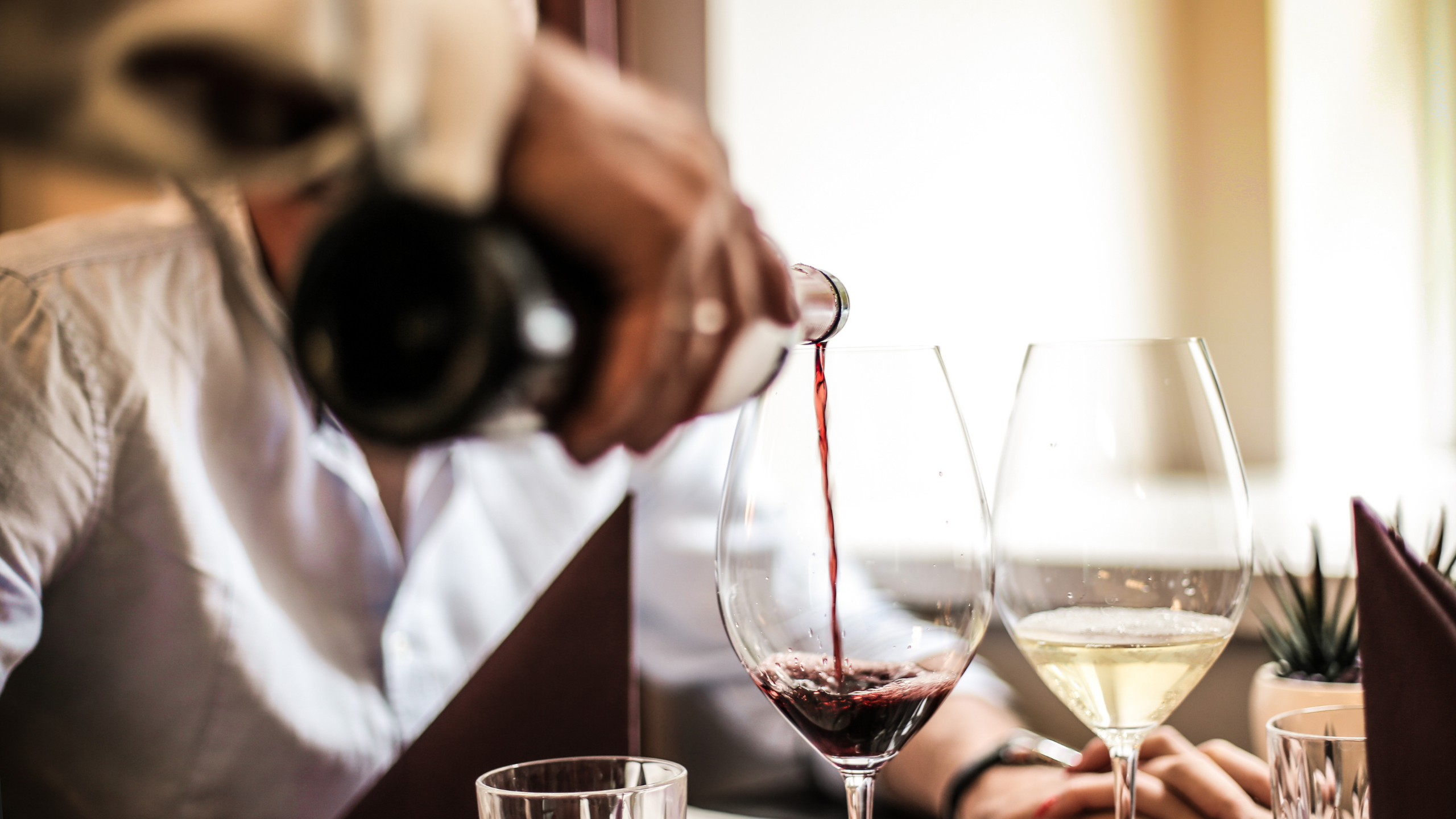 Concevoir une carte des vins - 100% E-learning